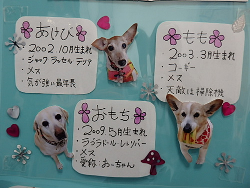 スタッフ&オアシスの仲間たち